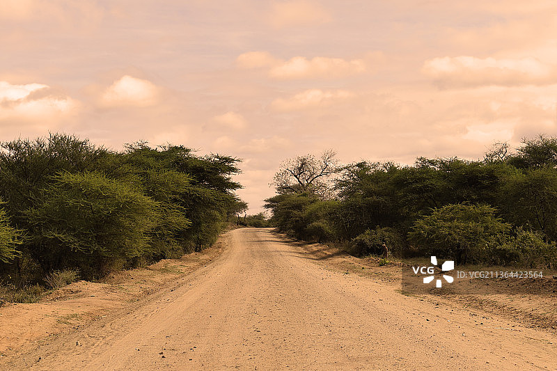 马拉维Chikwawa的尘土路和绿色空旷道路图片素材