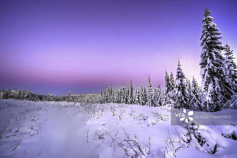 渐变的天堂，挪威锡尔扬市的雪景图片素材