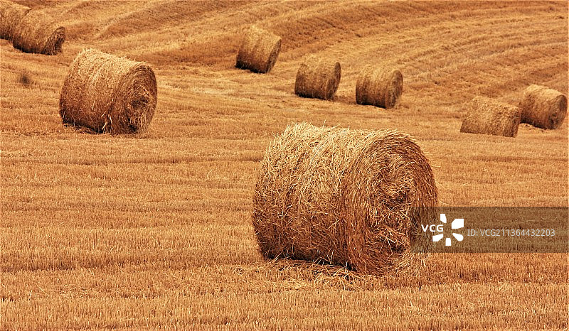 田野干草捆美景图片素材