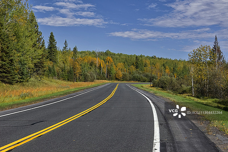 风景公路，明尼苏达州空旷的树林公路图片素材