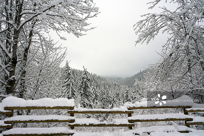 俄勒冈州蒂拉穆克州立森林盖尔斯溪观景台，白雪皑皑的田野与天空的景色图片素材