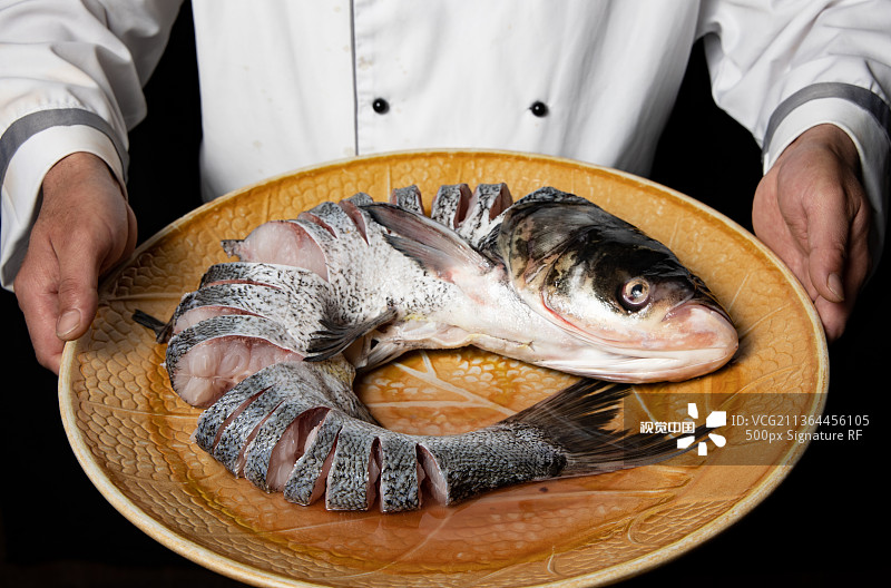 水库鱼大鱼图片素材