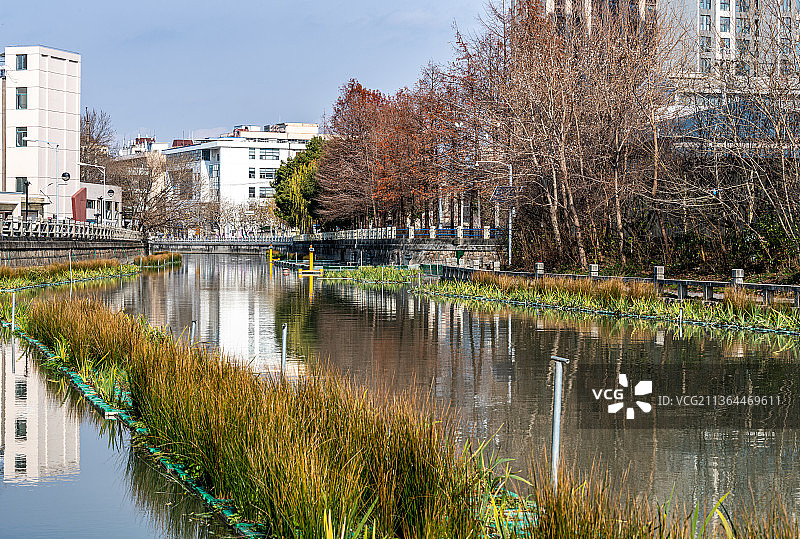 上海普陀真如公园桃浦河风光.上海普陀真如寺塔倒影图片素材