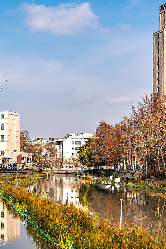 上海普陀真如公园桃浦河风光.上海普陀真如寺塔倒影图片素材