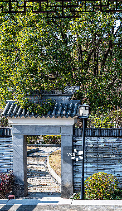 上海普陀真如公园.真如公园腊梅图片素材