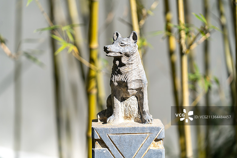 十二生肖狗图片素材