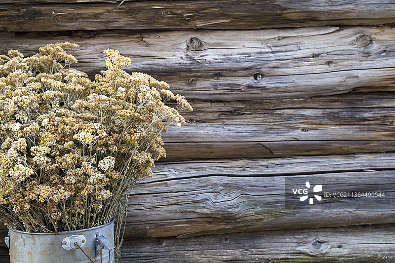 木围栏前放置的干花装饰图片素材