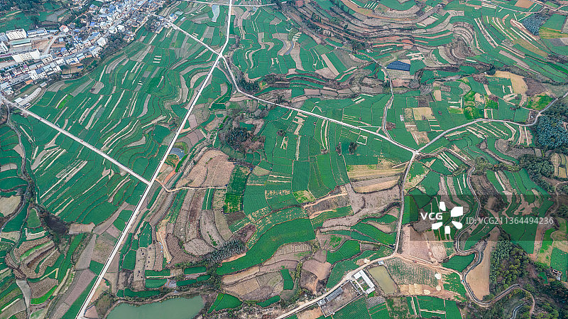 云南省红河州石屏县哨冲镇田园风光图片素材