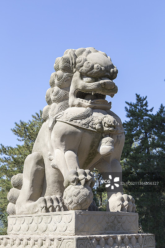 晴天户外石狮子特写图片素材