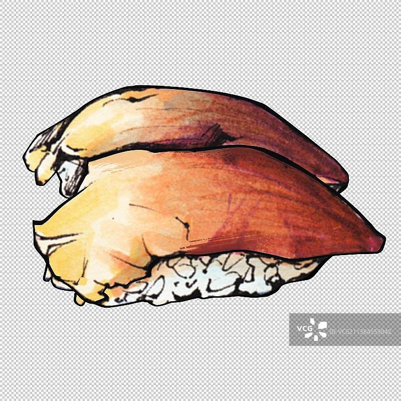 北极贝寿司一组 美食食物餐饮菜单饮食图片素材