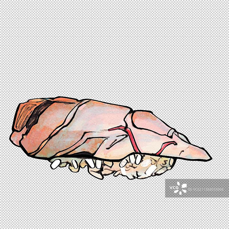 金枪鱼寿司 美食食物餐饮菜单饮食图片素材