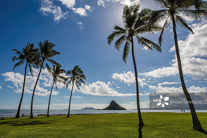 椰岛风光图片素材