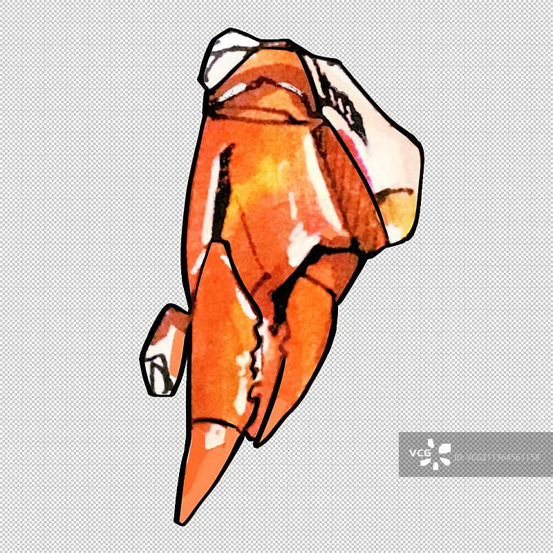 螃蟹 蟹腿 壳 美食食物餐饮菜单饮食图片素材