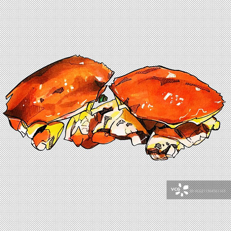 蟹肉蟹壳 美食食物餐饮菜单饮食图片素材