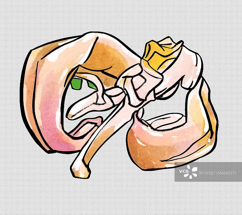 鱿鱼小块 新鲜海鲜水产品 美食食物餐饮菜单图片素材