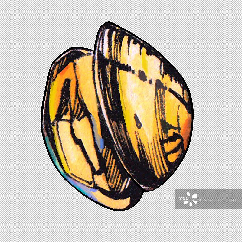 贝壳 蛤蜊 贝类 淡菜  新鲜海鲜水产品 美食食物餐饮菜单图片素材