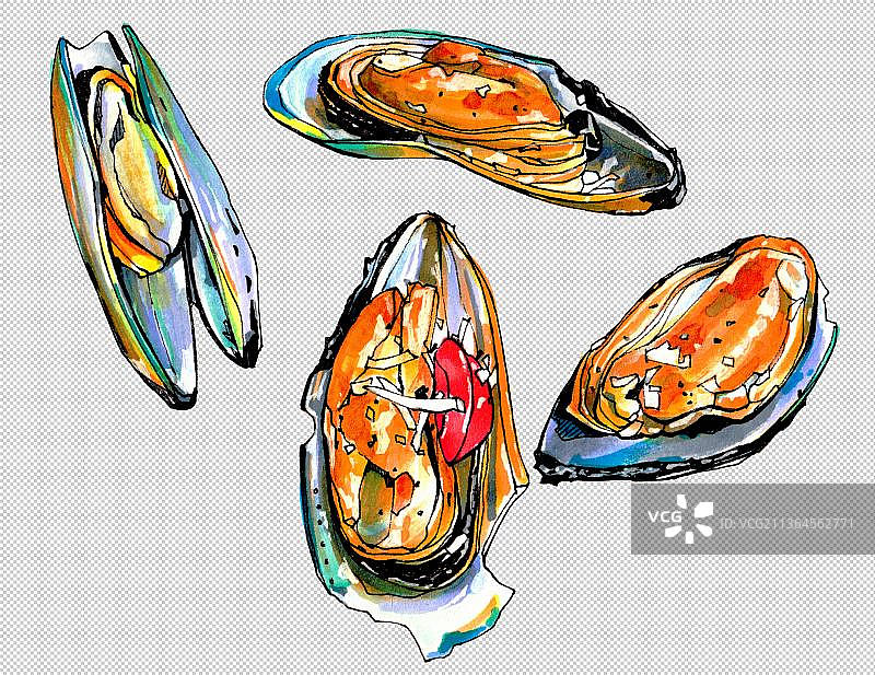贝壳 蛤蜊 贝类 淡菜  新鲜海鲜水产品 美食食物餐饮菜单图片素材