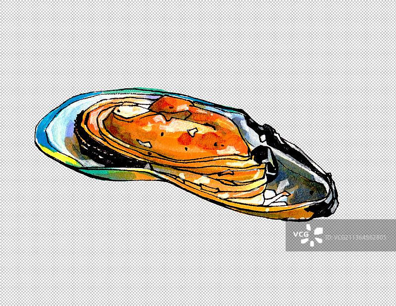 贝壳 蛤蜊 贝类 淡菜  新鲜海鲜水产品 美食食物餐饮菜单图片素材