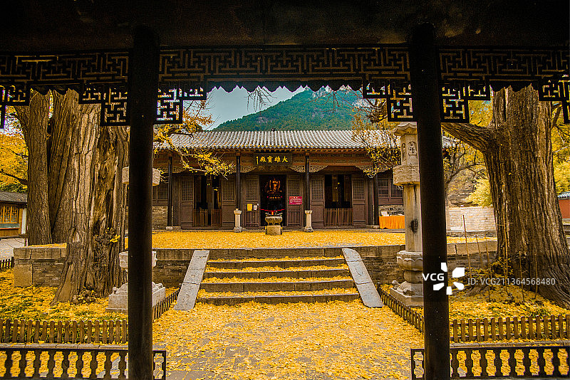 灵岩寺金秋图片素材