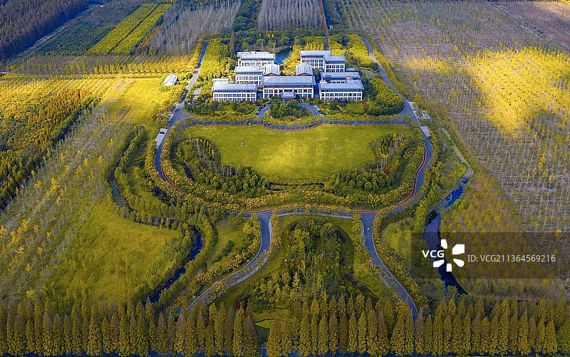 黄海森林公园图片素材