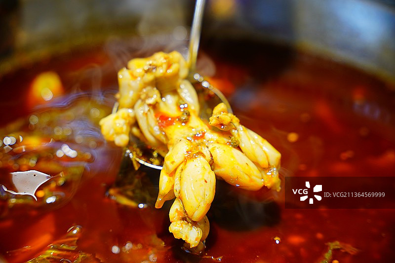 四川火锅牛蛙图片素材