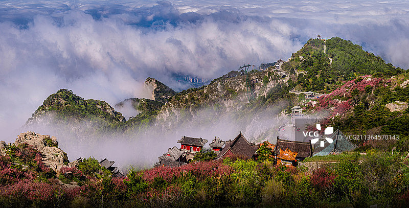 泰山海棠花云海图片素材
