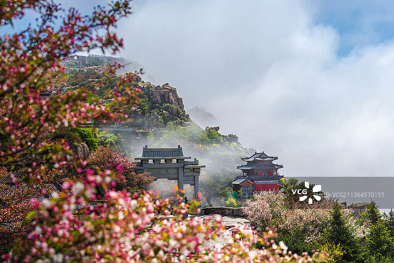 泰山海棠花云海图片素材