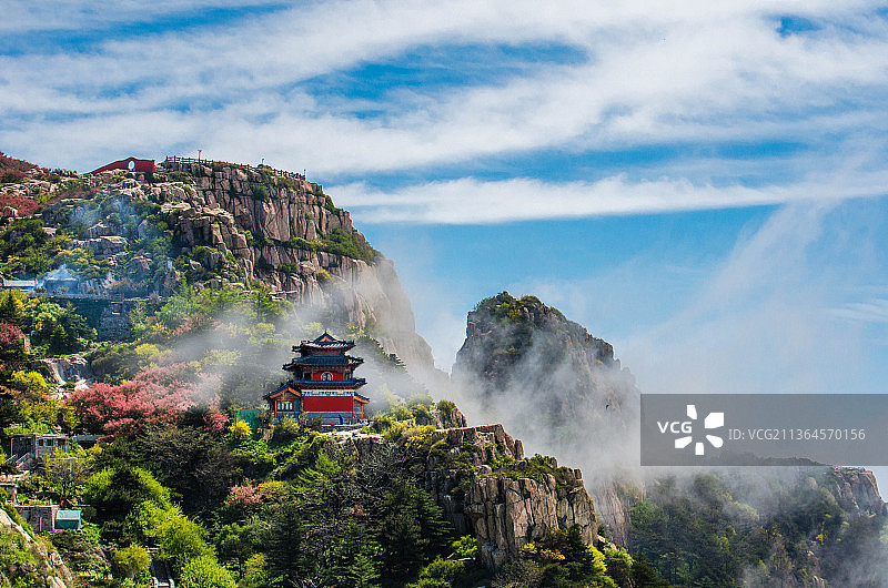 泰山海棠花云海图片素材