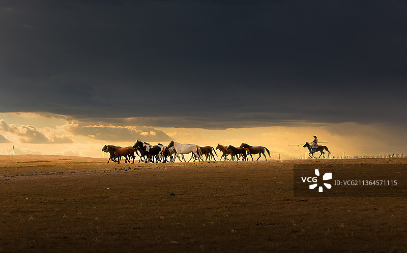 呼伦贝尔黑山头套马的汉子图片素材