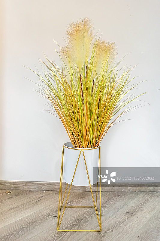 中国室内的家居装饰物，墙边摆放的植物盆栽图片素材