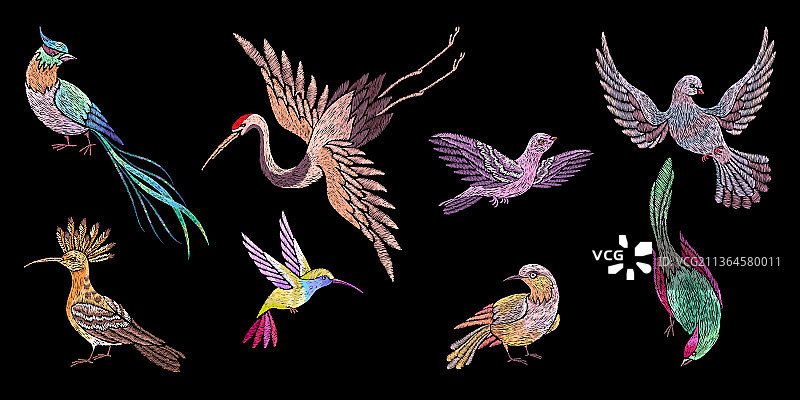 刺绣鸟类贴片图片素材