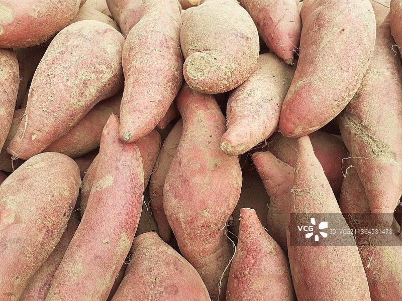 红薯图片素材