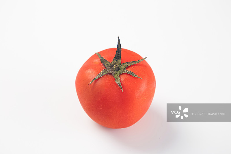 白色底面的西红柿图片素材
