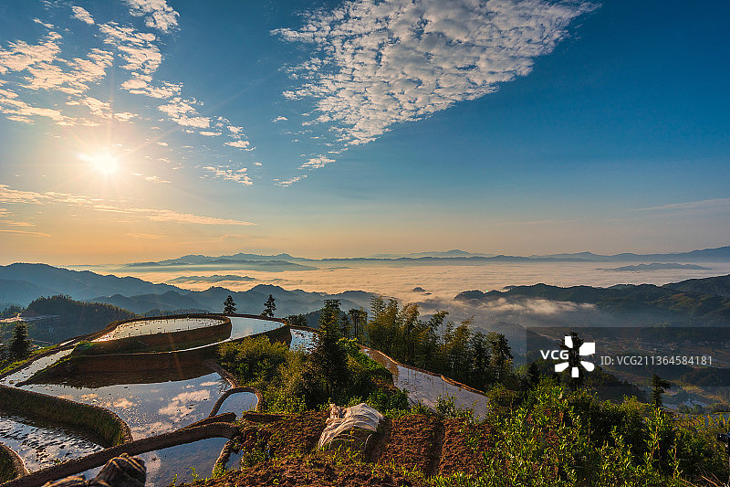 娄底紫鹊界梯田晨曦图片素材