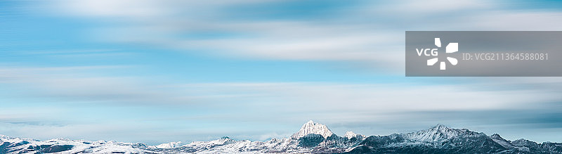 鱼子西图片素材