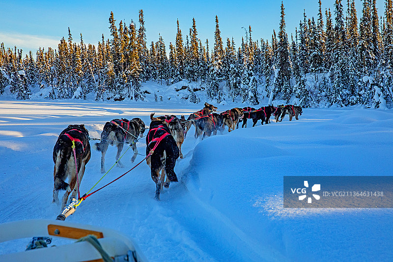 雪中行图片素材