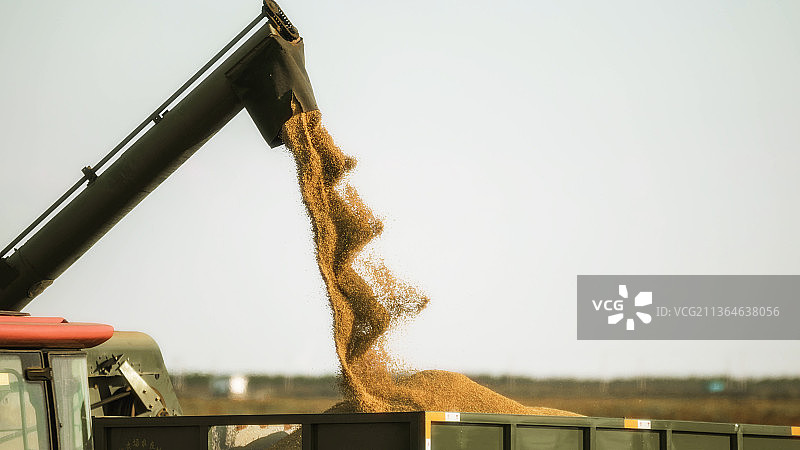 水稻种植图片素材