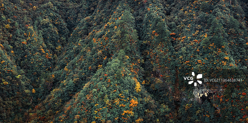 城口亢谷景区风光图片素材