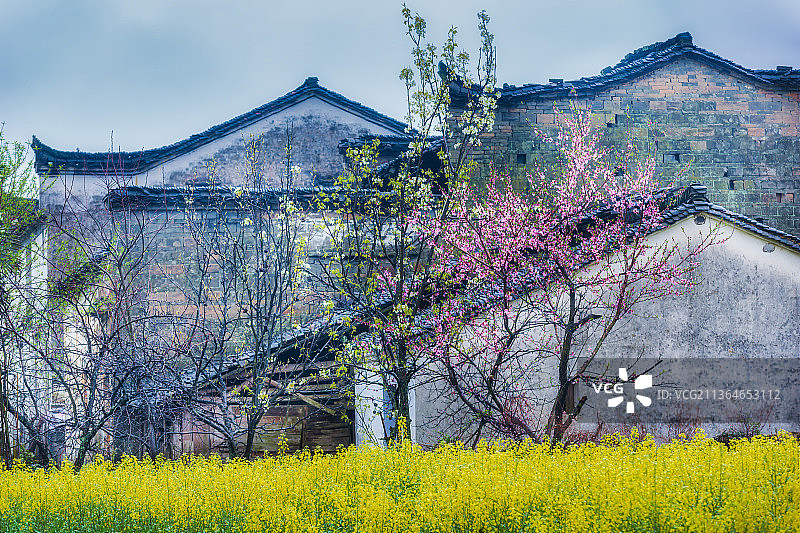 婺源庆源春色图片素材