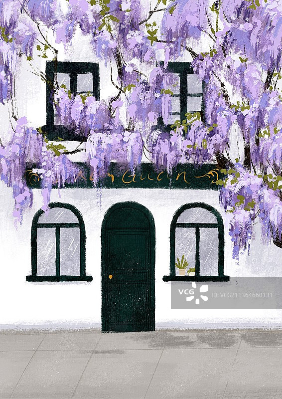 紫罗兰花开图片素材