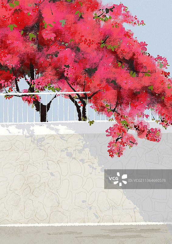 公园里的杜鹃图片素材