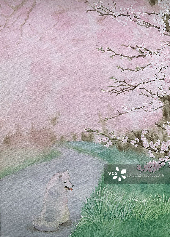 《回眸》图片素材