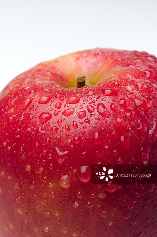 白色背景上的单个苹果特写图片素材