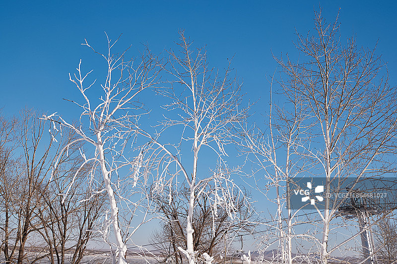 冬季森林自然风景图片素材