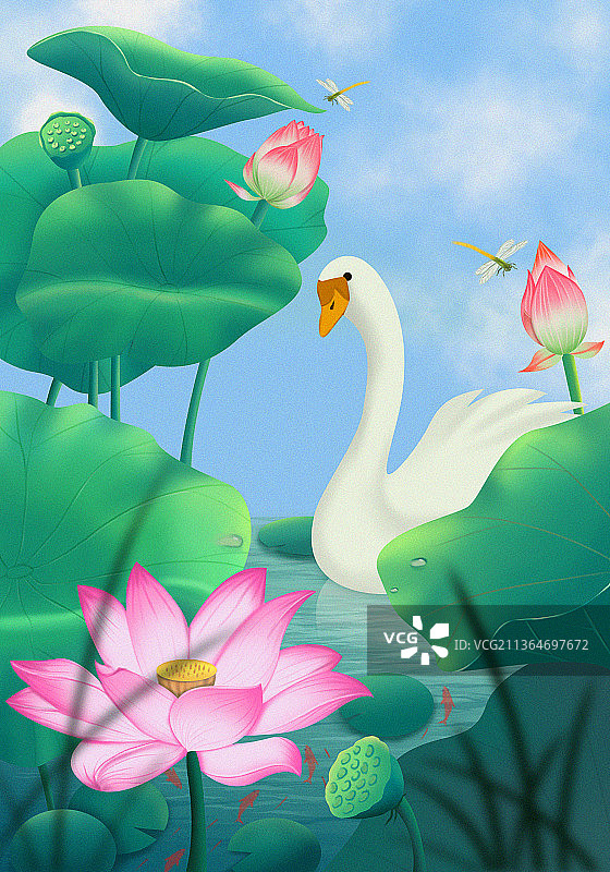 夏图片素材