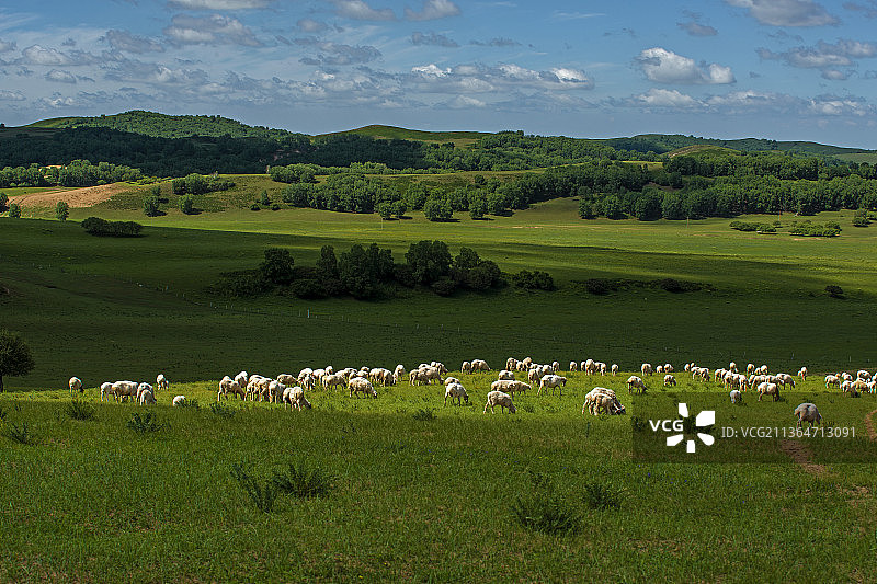 草原牧场图片素材
