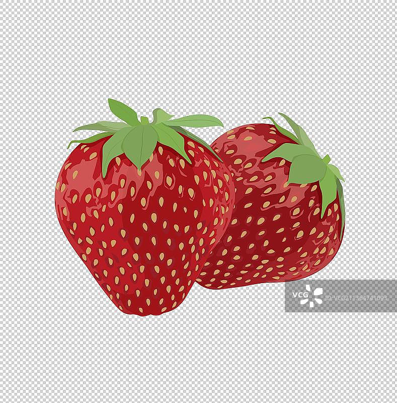 新鲜香甜美味的草莓插画图片素材