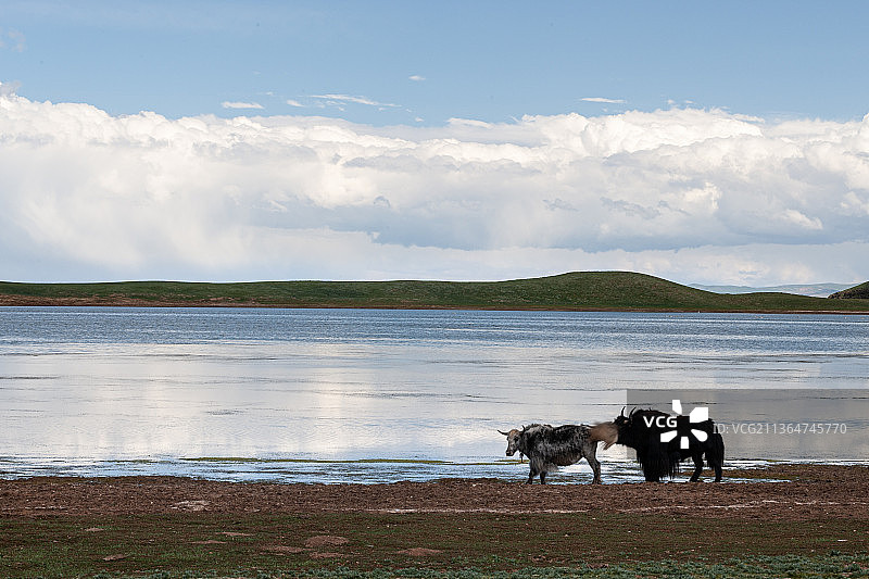 三江源国家公园图片素材