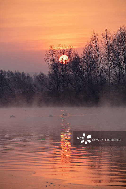 共沐阳光～2022年第一天的日出图片素材