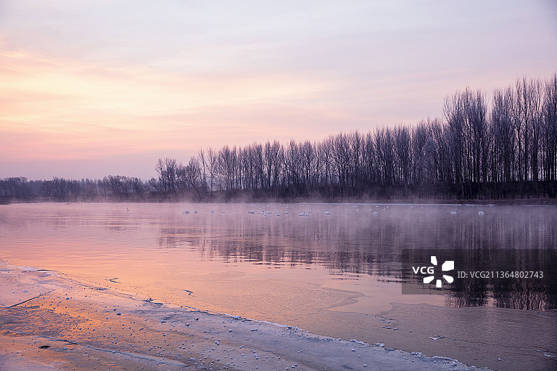 2022年第一天天鹅湾的第一缕阳光图片素材